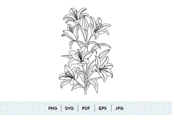 Lily Flower SVG: Graphics & Illustrations for Creative Sellers