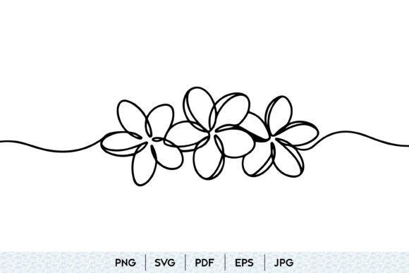 Plumeria Flower Line Art SVG: Graphics & Illustrations for Editorial Polish