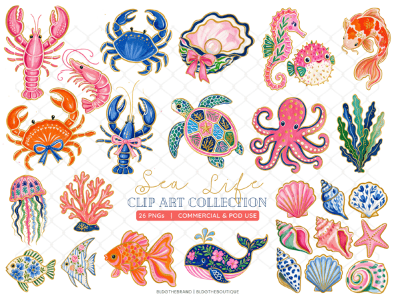 Tropical Reef Sea Life PNG Clip Art: Graphics & Illustrations